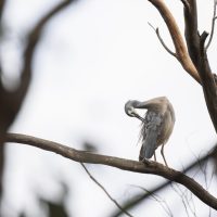 deepkeep 主编林知远在办公桌前审阅整理稿件的侧拍照片，桌上有笔记本和绿植，光线自然柔和