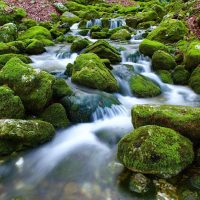 deepkeep 内容编辑苏晚在核对公开来源页面，屏幕上是多窗口比对界面，氛围专注安静